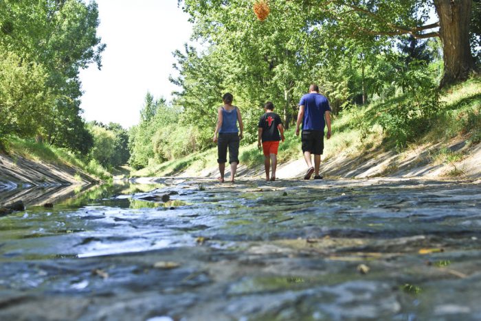 Wasserspaziergang an der Liesing