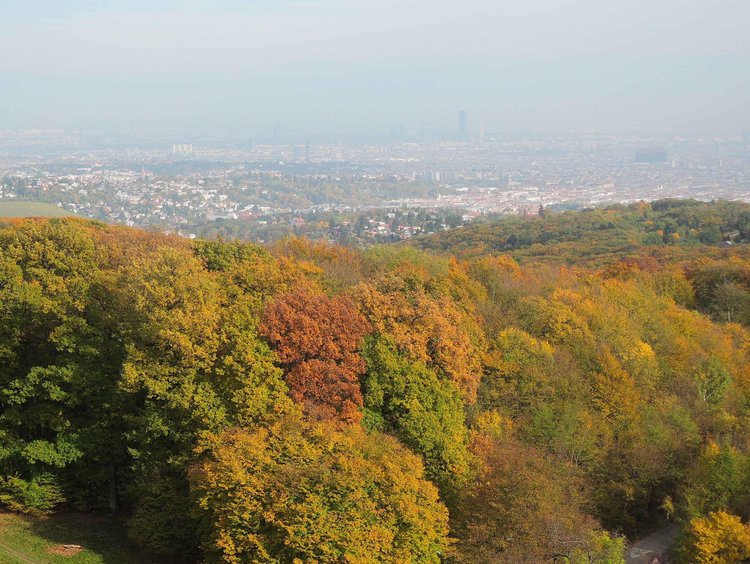 Aussicht von der Jubiläumswarte auf die Stadt