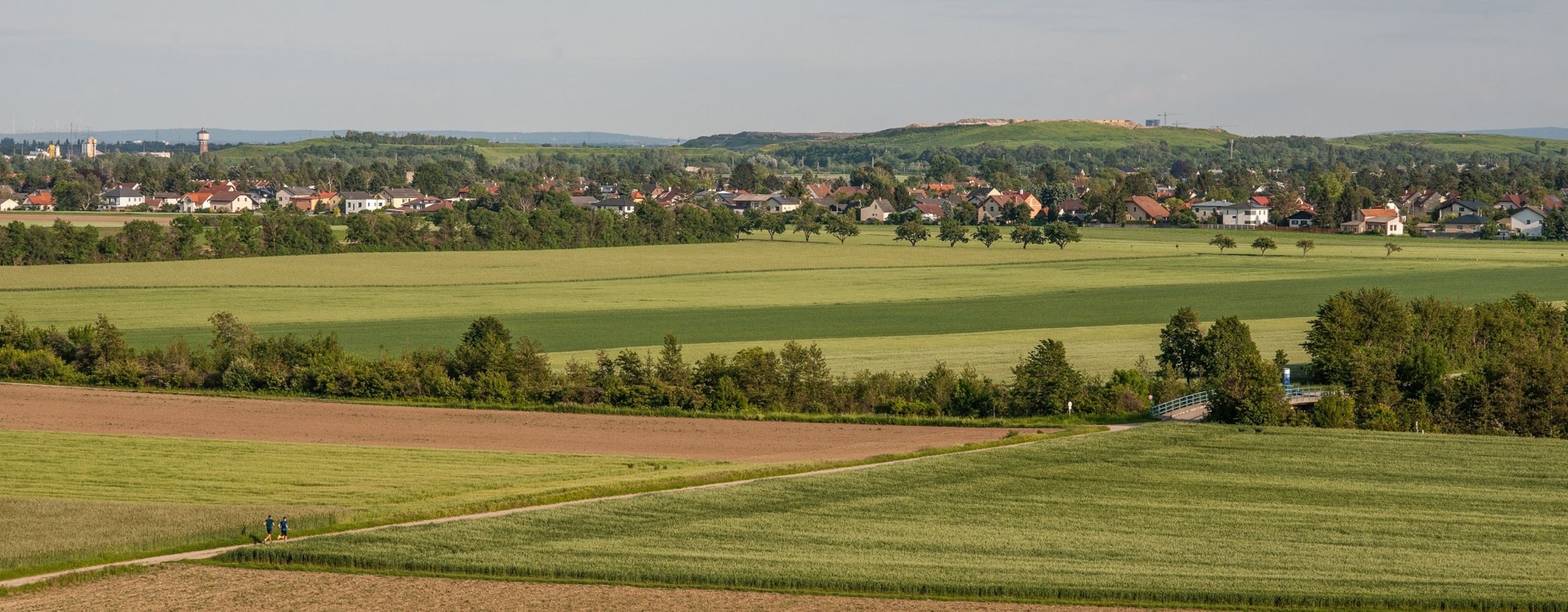 Felder im Regionalpark DreiAnger, © Stadt Wien/Gerd Götzenbrucker