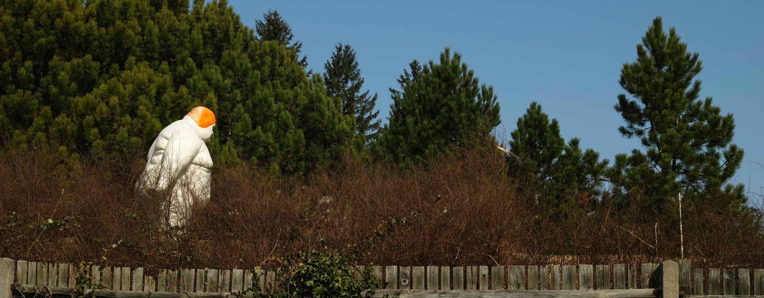 Blick aus dem Dornbacher Friedhof, © Sven Fargo