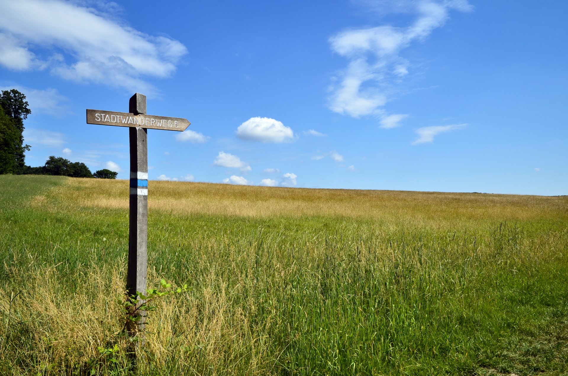 Wiese und Wegweiser "Stadtwanderweg 6"