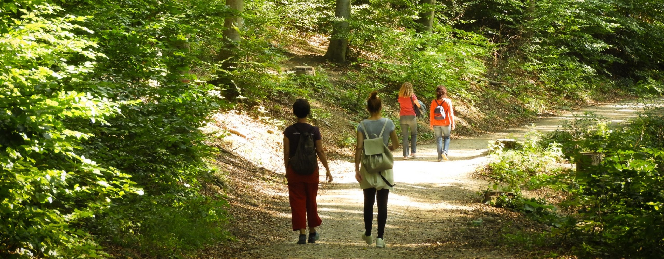 Wandererinnen am Stadtwanderweg (© MA49/Fürthner)