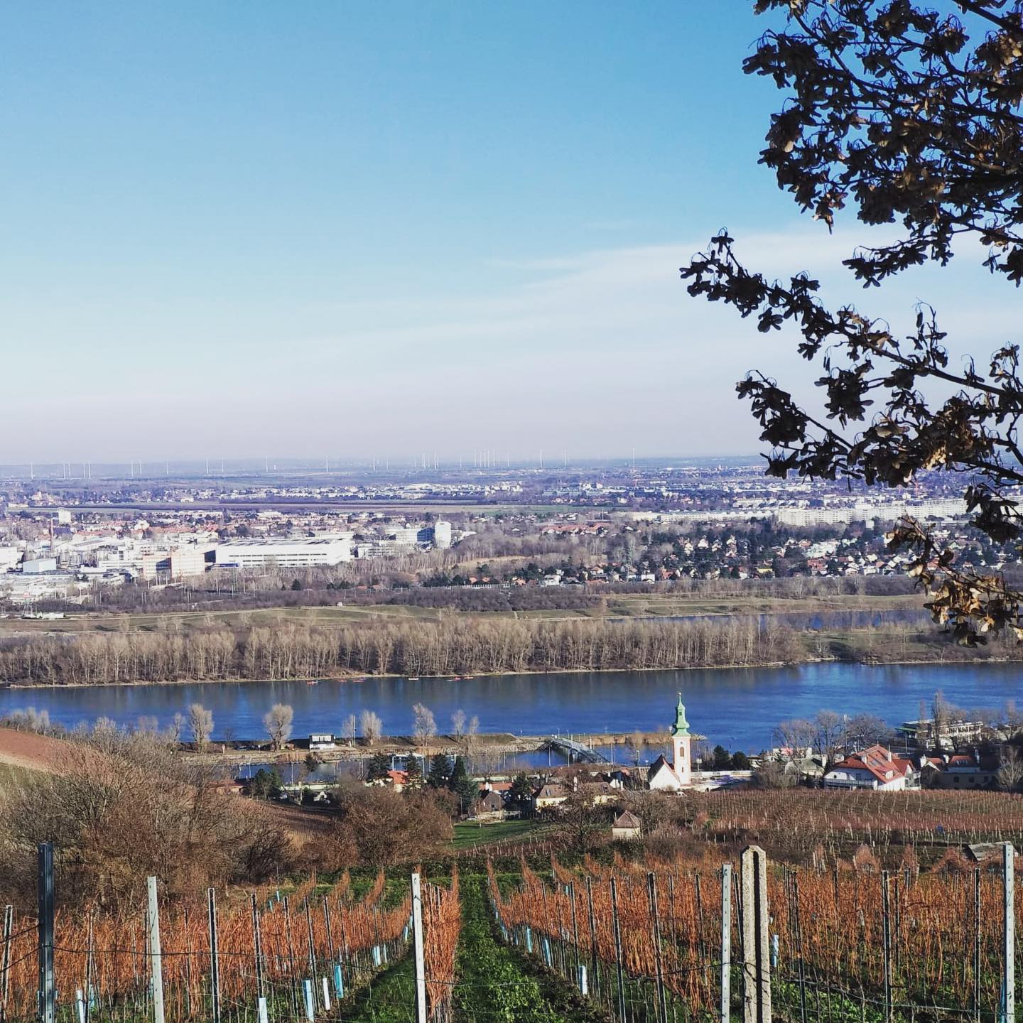 Blick vom Nussberg aufs Kahlenbergerdorf und die Donau