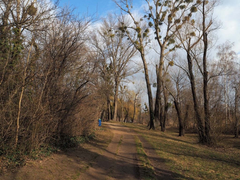 Weg am Mühlwasser