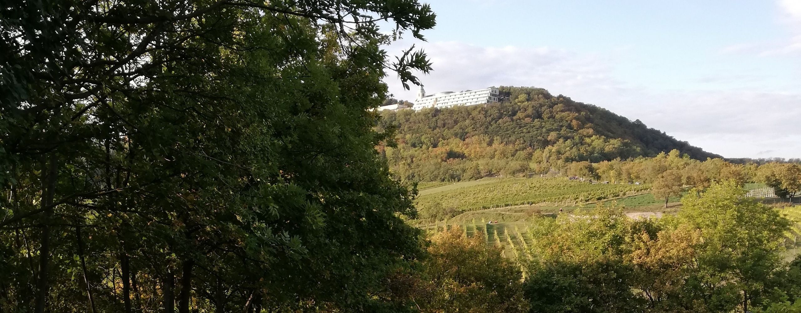 Blick auf den Kahlenberg