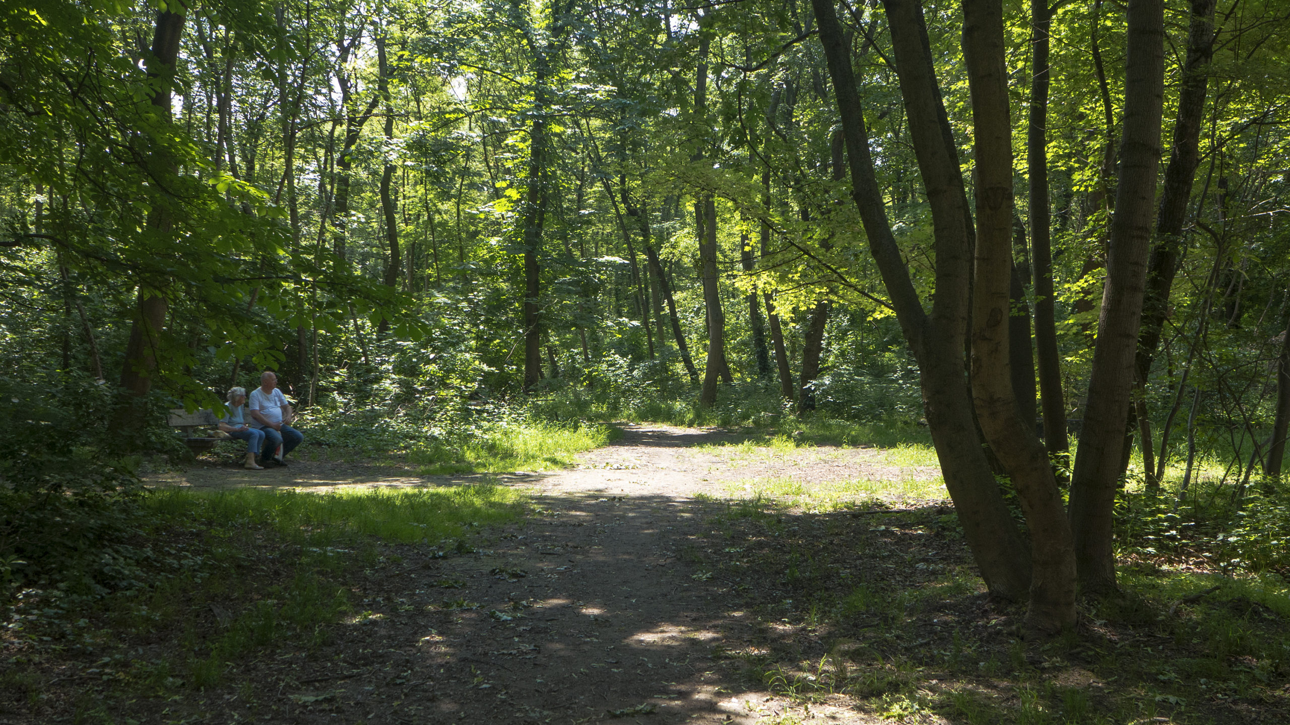 Bankerl im grünen Jedleseer Aupark