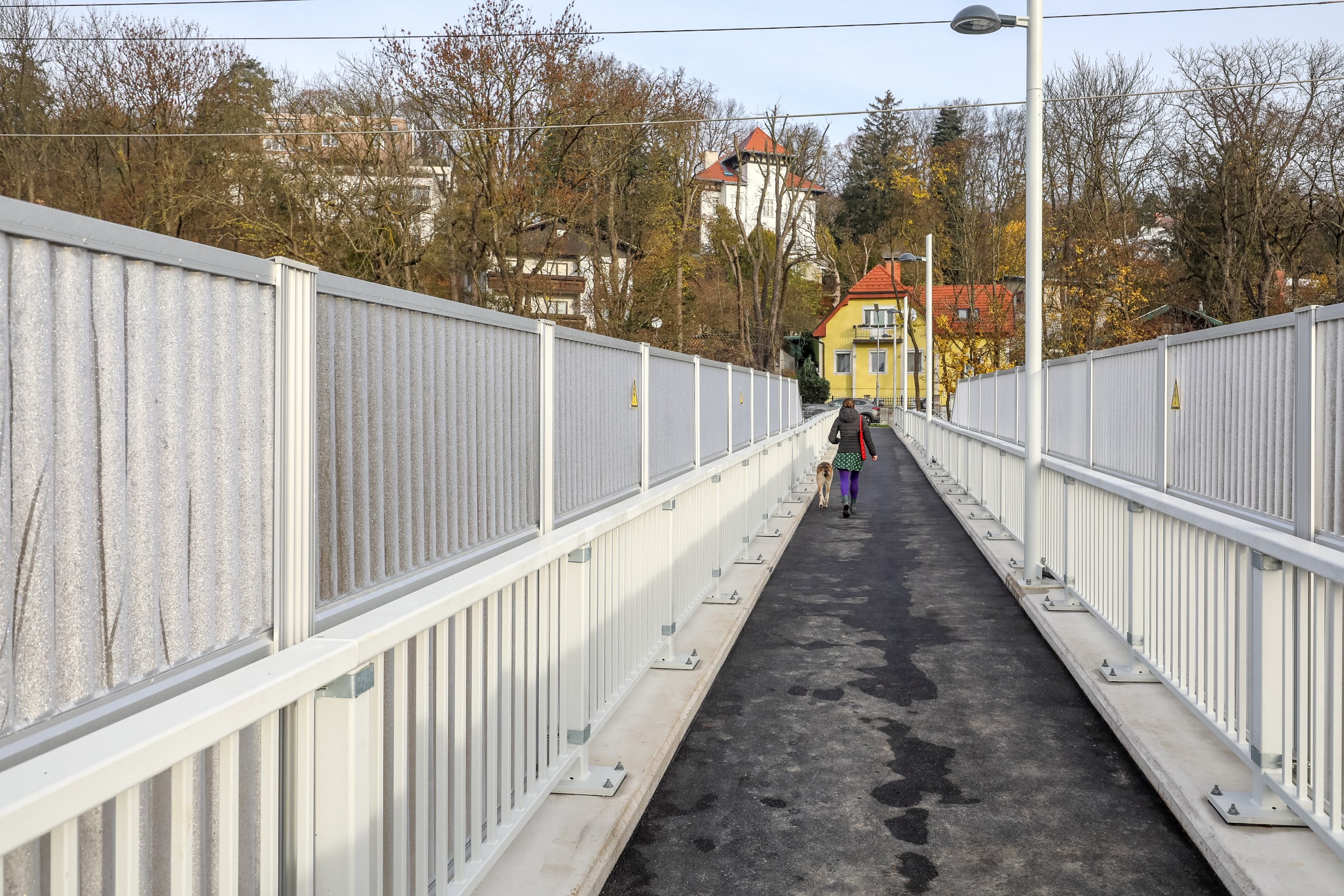 Fußgängerin mit Hund am neuen Loudonsteg (Foto: PID/Christian Fürthner)