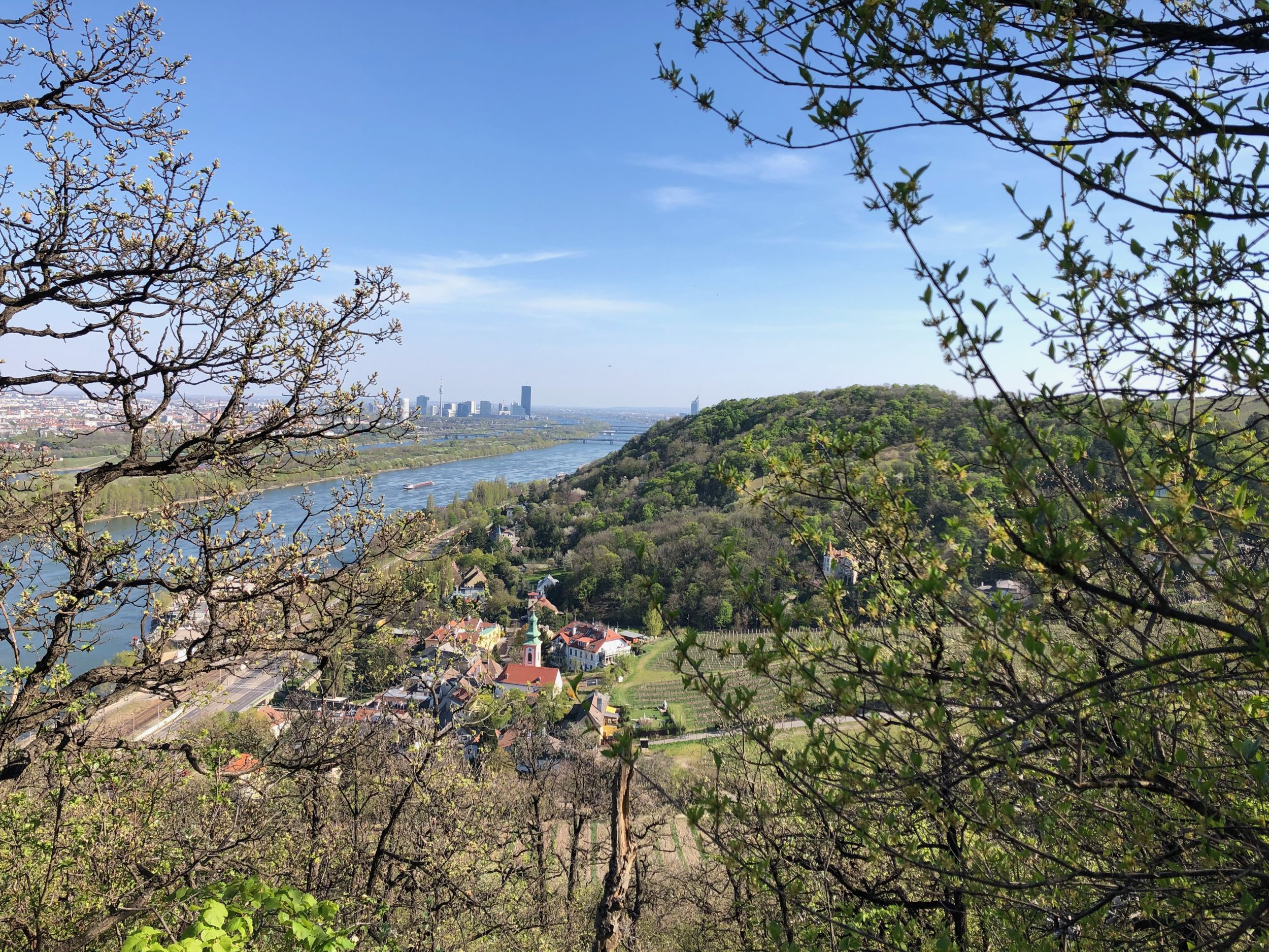 Blick von oben auf das Kahlenbergerdorf im Frühling