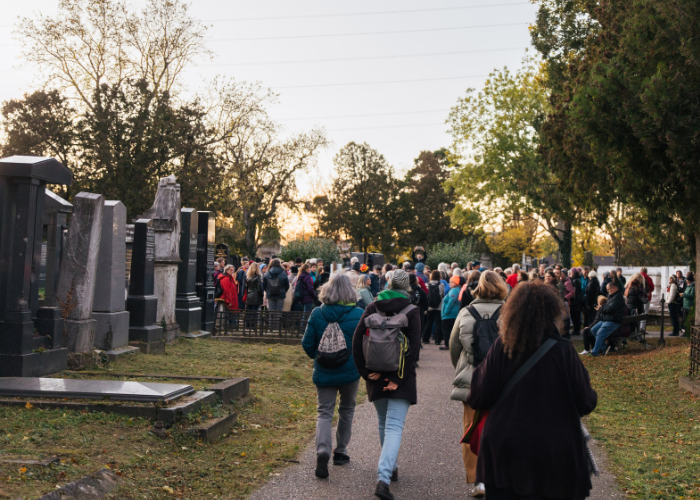 Die Gruppe des Geh-Cafés spaziert entlang von Grabsteinen am Zentralfriedhof